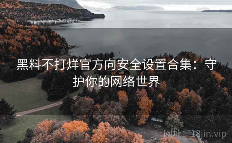 黑料不打烊官方向安全设置合集：守护你的网络世界