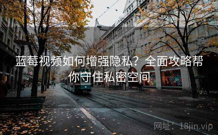 蓝莓视频如何增强隐私？全面攻略帮你守住私密空间
