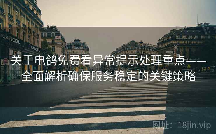 关于电鸽免费看异常提示处理重点——全面解析确保服务稳定的关键策略