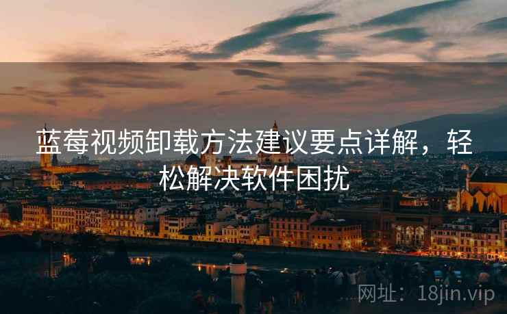 蓝莓视频卸载方法建议要点详解，轻松解决软件困扰