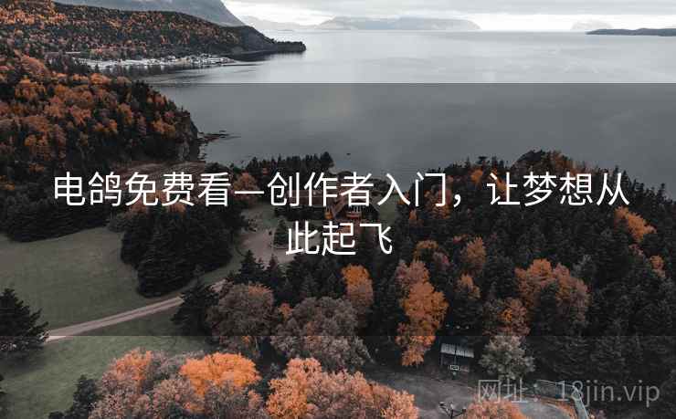 电鸽免费看—创作者入门，让梦想从此起飞