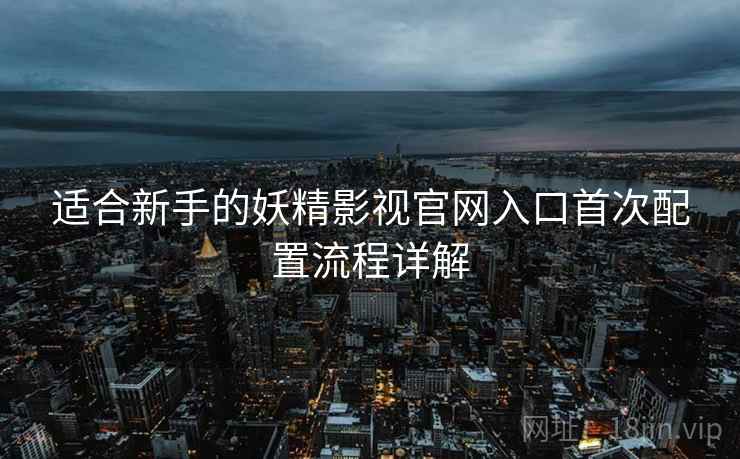 适合新手的妖精影视官网入口首次配置流程详解
