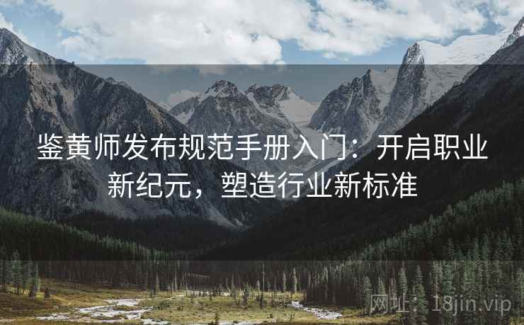 鉴黄师发布规范手册入门：开启职业新纪元，塑造行业新标准
