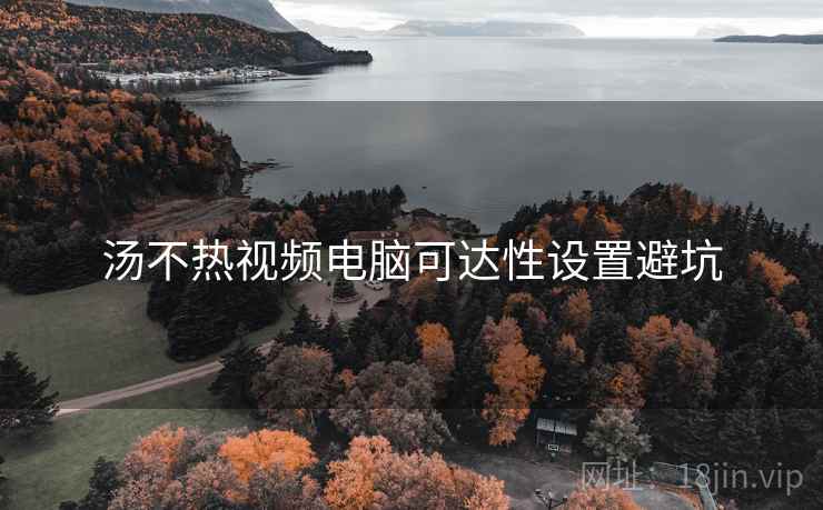汤不热视频电脑可达性设置避坑