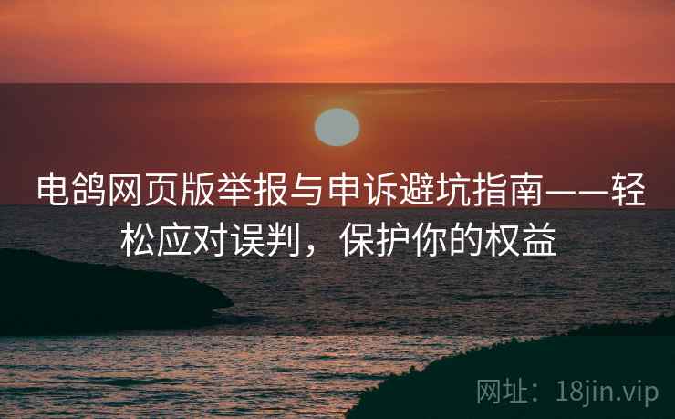 电鸽网页版举报与申诉避坑指南——轻松应对误判，保护你的权益