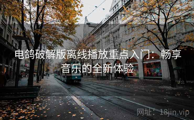 电鸽破解版离线播放重点入门：畅享音乐的全新体验