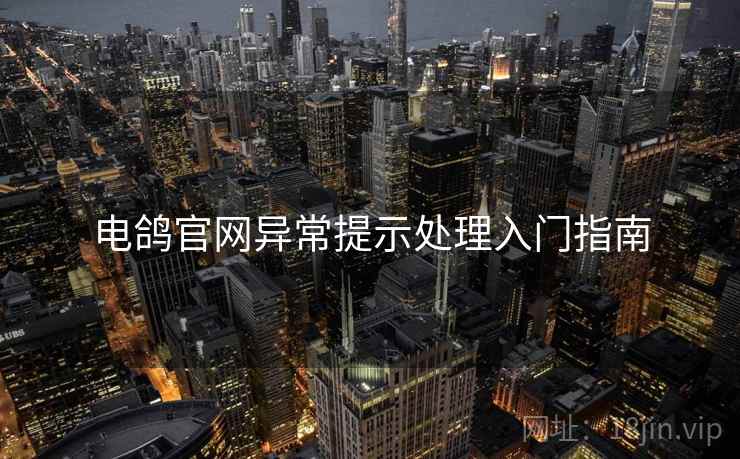 电鸽官网异常提示处理入门指南