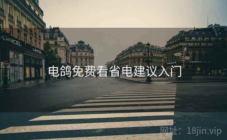 电鸽免费看省电建议入门