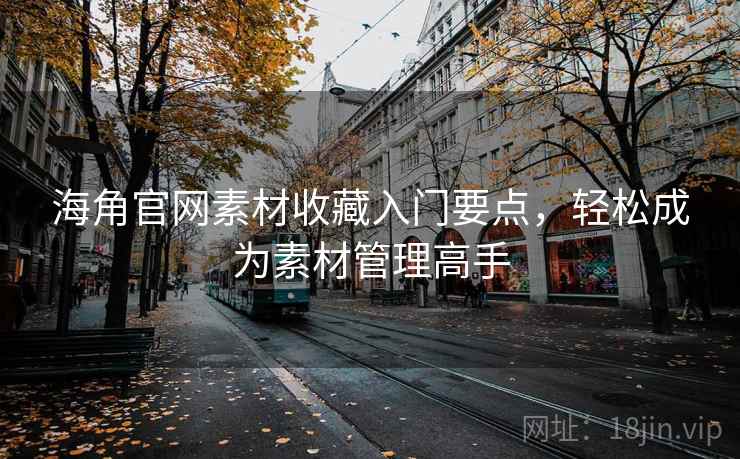 海角官网素材收藏入门要点，轻松成为素材管理高手