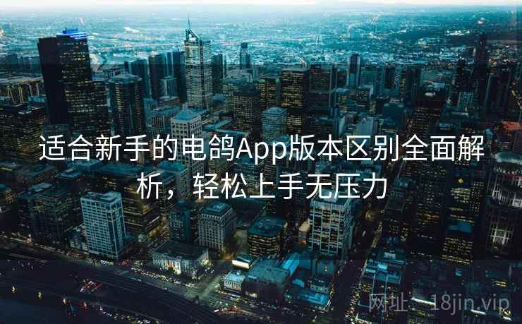 适合新手的电鸽App版本区别全面解析，轻松上手无压力