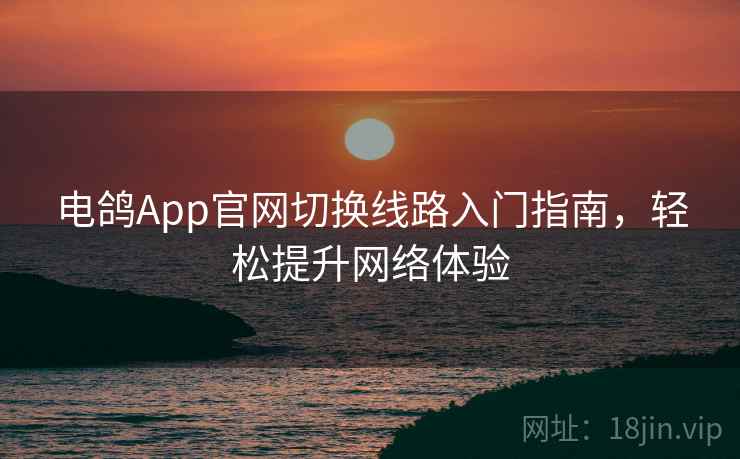 电鸽App官网切换线路入门指南，轻松提升网络体验