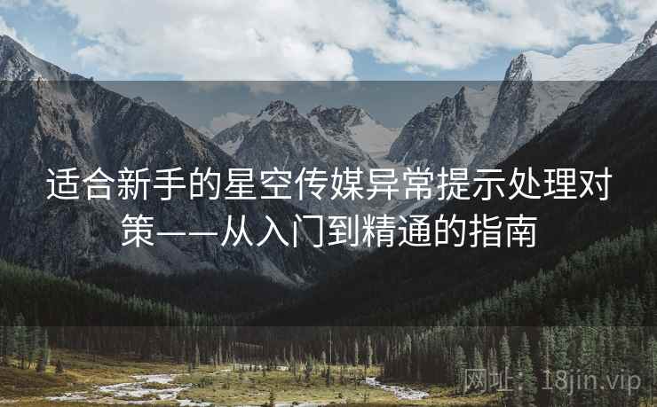 适合新手的星空传媒异常提示处理对策——从入门到精通的指南